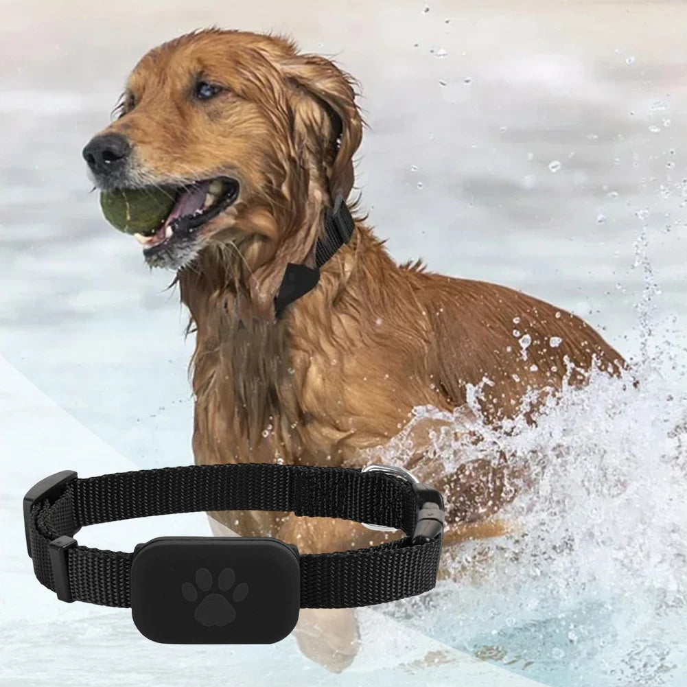 Smart Pet GPS Tracker with Adjustable Collar – Real-Time Locator for Dogs & Cats