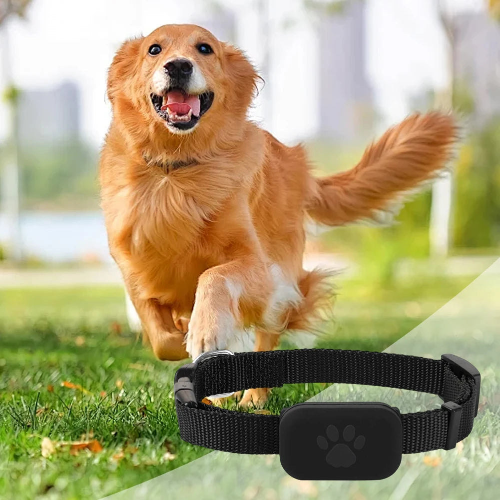 Smart Pet GPS Tracker with Adjustable Collar – Real-Time Locator for Dogs & Cats